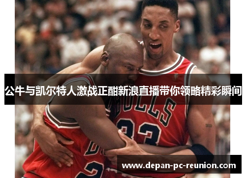 公牛与凯尔特人激战正酣新浪直播带你领略精彩瞬间